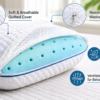 Taha Latex Regular Pillows